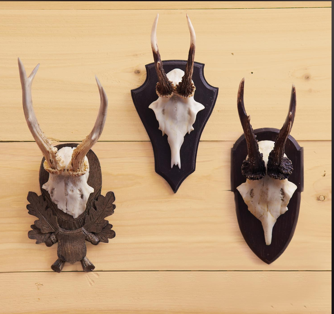 Hunt Club Set of 3 Reproduction Antlers