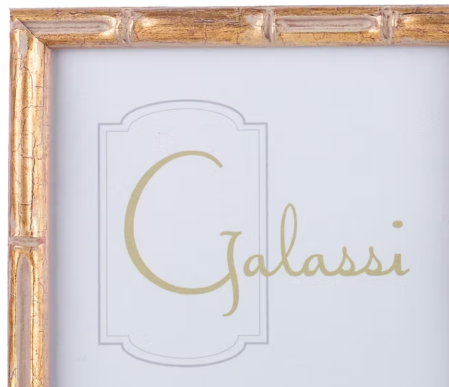 Galassi Gold Bamboo 5x5 Frame