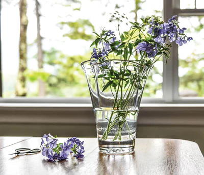 Medium Simon Pearce Vase