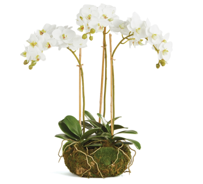 16" Mini White Orchid Garden Drop-In