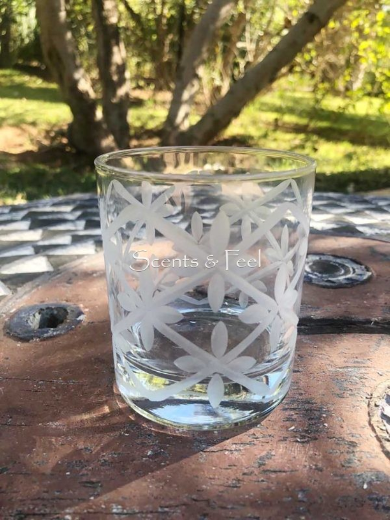 Set of 6 Drinking Glasses Carved Frosted White Petals