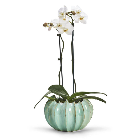 Large Celadon Gourd Vase