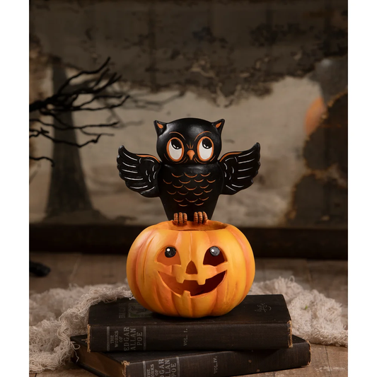 Owl Jack O'Lantern