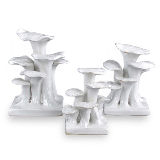 5 Ich Ivory Lichens White Mushrooms