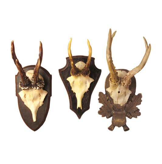 Hunt Club Trophy in 3 different designs
Hand Molded from Sturdy Resin Material
Life Like replicas of real Antlers